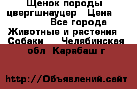 Щенок породы  цвергшнауцер › Цена ­ 30 000 - Все города Животные и растения » Собаки   . Челябинская обл.,Карабаш г.